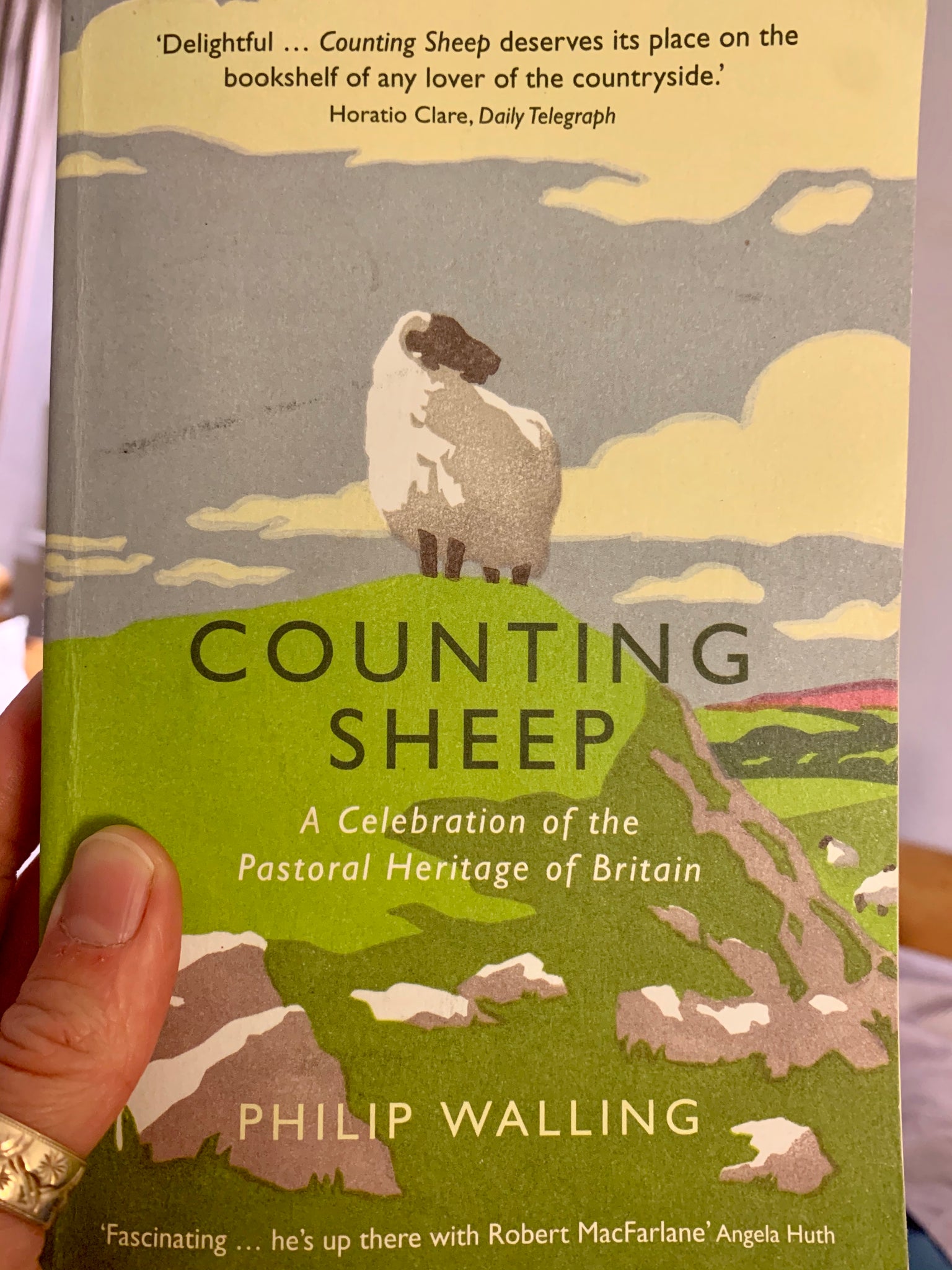Counting Sheep by Philip Walling, pub. 2015