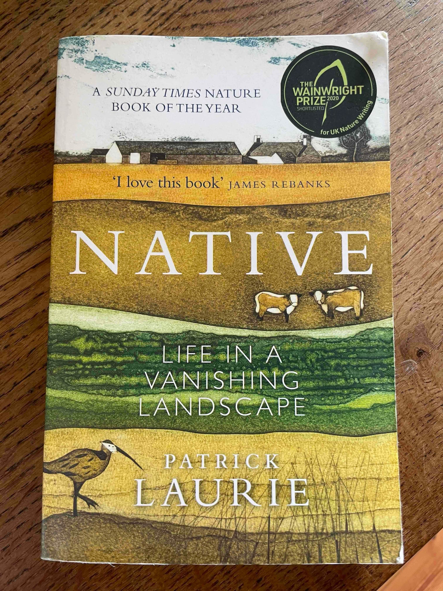 Native, by Patrick Laurie