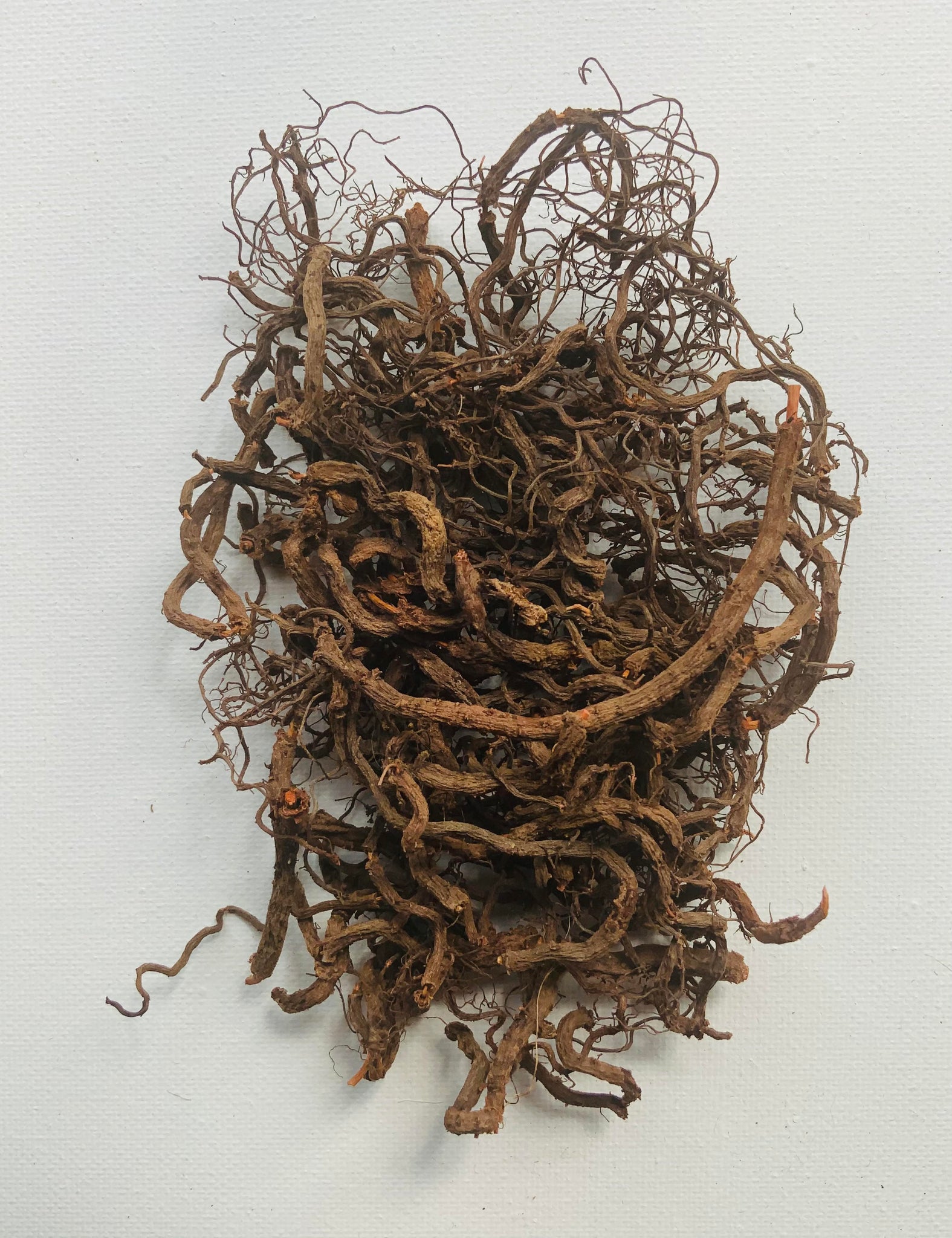 Exploring the Madder Root