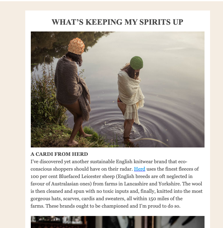 Country & Town House newsletter mentions HERD