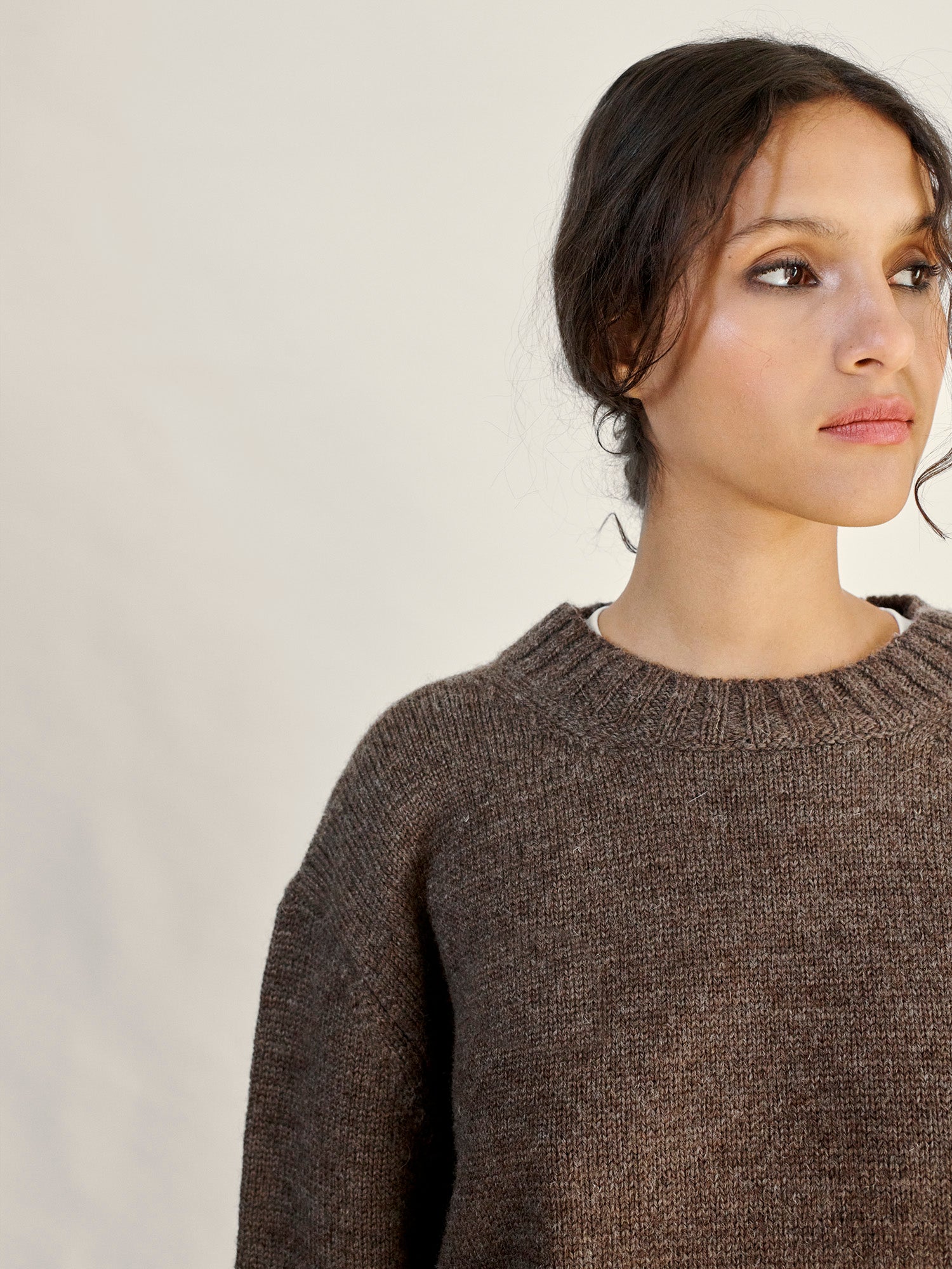 Brampton Crew Neck Jumper Peat